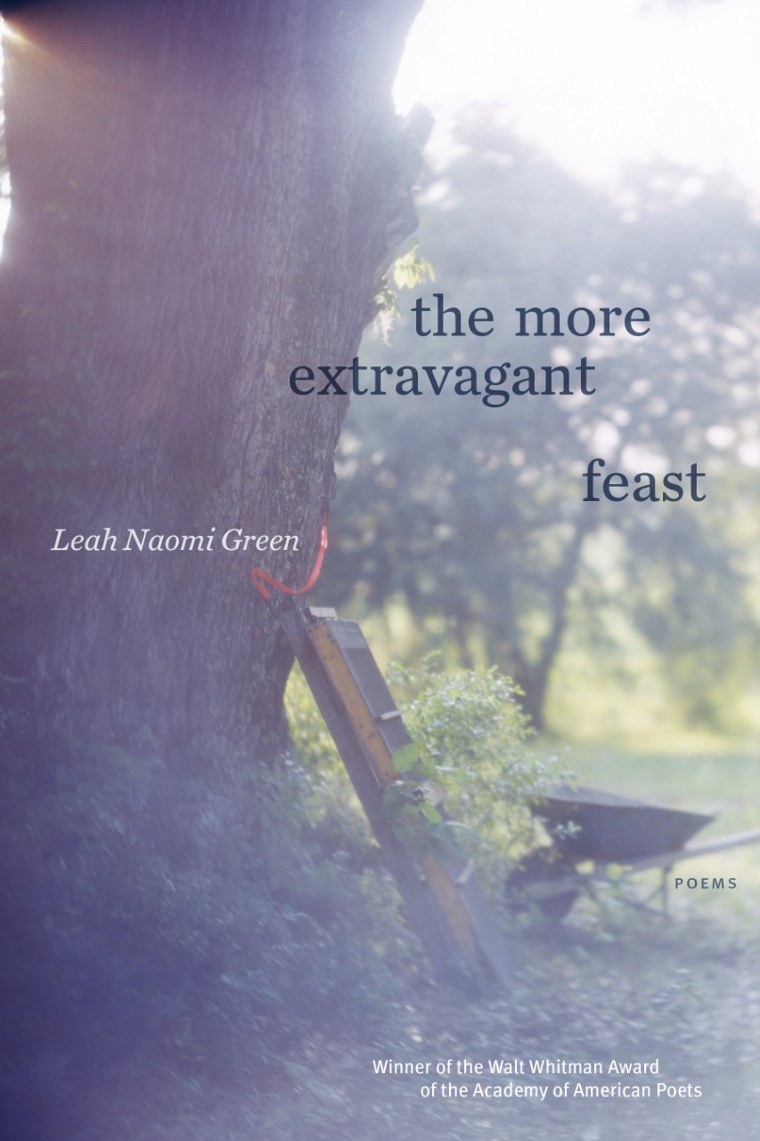 Book Cover for, The More Extravagant Feast