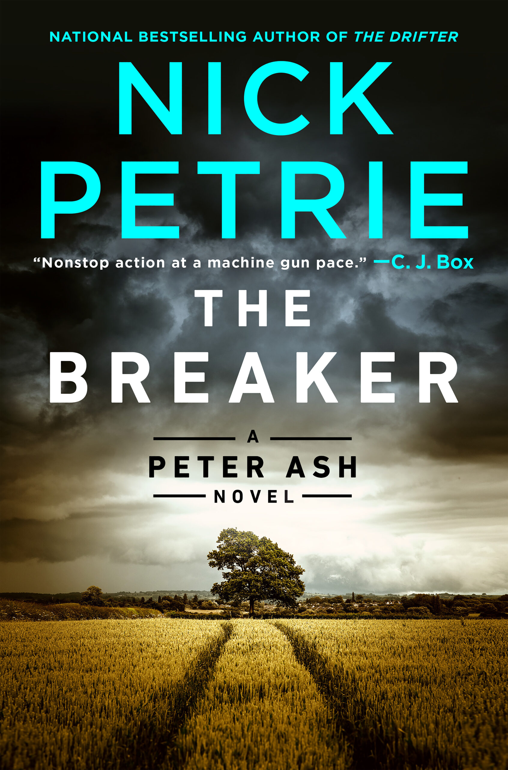 Book cover for, "The Breaker" by Nick Petrie