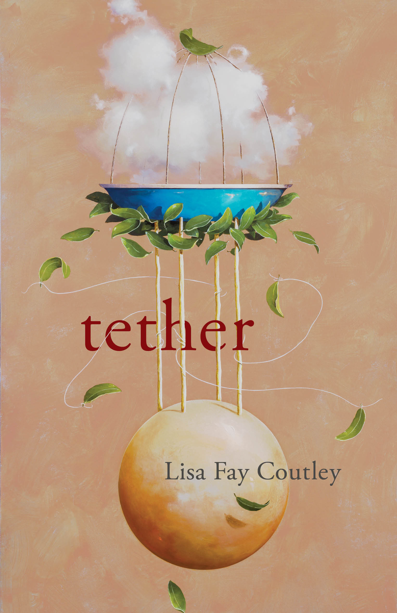 Book cover of Tether by Lisa Fay Coutley
